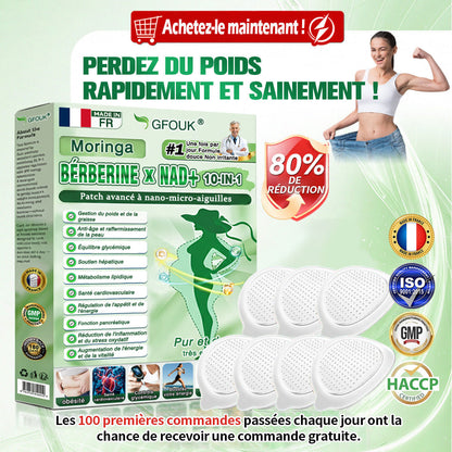 🇫🇷 Boutique Officielle | 🧡 GFOUK® Moringa · Berbérine × NAD+ Patch avancé de micro-aiguilles nano 10-en-1