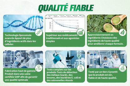 🍇🍇🇫🇷 Boutique Officielle |👨‍⚕️ GFOUK® Moringa · Berbérine × NAD+ Patch avancé de micro-aiguilles nano 10-en-1